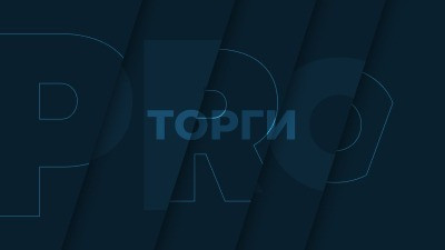 Кассация: при оценке нарушений на торгах важны фактические обстоятельства их проведения